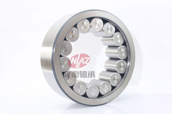 滿(mǎn)裝滾子(zi)SL1923系列 滿(mǎn)裝滾子(zǐ)SL1923系列